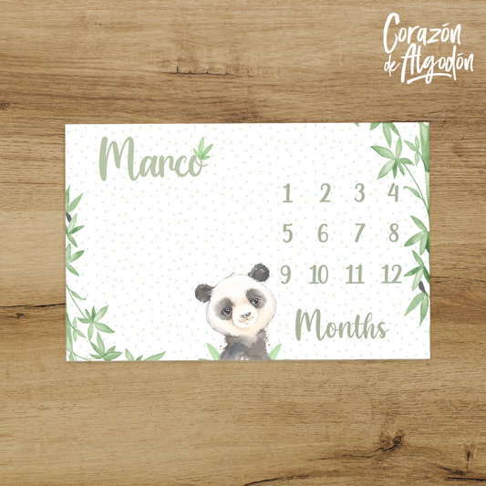 Panda Boy Milestone Blanket
