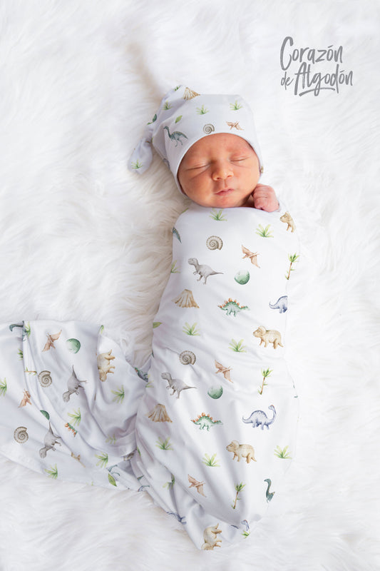 Dinosaur Swaddle